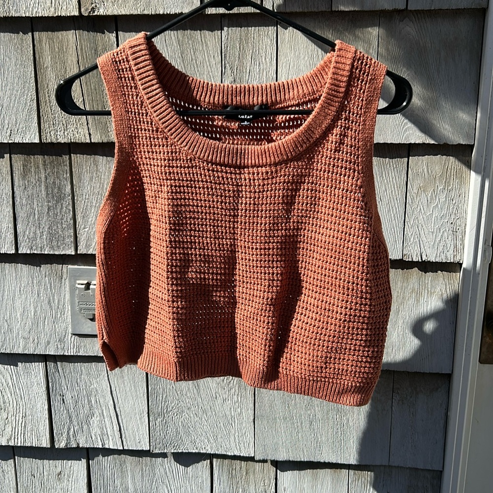 Lulus Crop Top